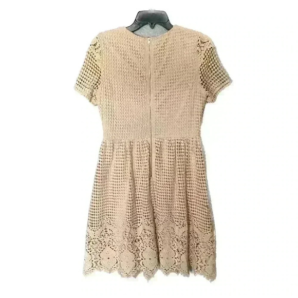 The clothing company Cream Lace Dress - Picture 2 of 4